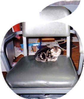 The apple of daddy's eye